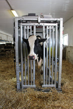 Load image into Gallery viewer, Cow Treatment Chute / Trim Chute Model 600