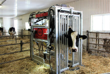 Load image into Gallery viewer, Cow Treatment Chute / Trim Chute Model 600
