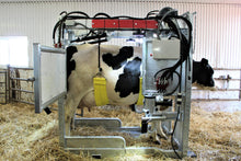 Load image into Gallery viewer, Cow Treatment Chute / Trim Chute Model 600