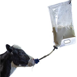 Colostrum Storage and Feeding Bags