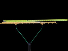 Load image into Gallery viewer, JOST 16 Tooth Plastic Rake