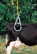 Load image into Gallery viewer, Vink-Elst Cowlift