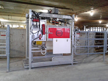 Load image into Gallery viewer, Cow Treatment Chute / Trim Chute Model 600