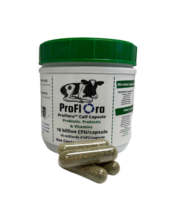 ProFlora CALF Capsule