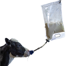 Load image into Gallery viewer, Colostrum Storage and Feeding Bags